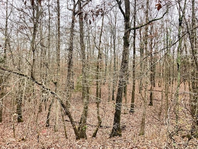 Tbd Us Highway 160, Tecumseh, MO 65760 - photo 2