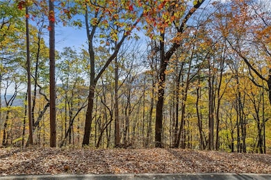 View of local wilderness