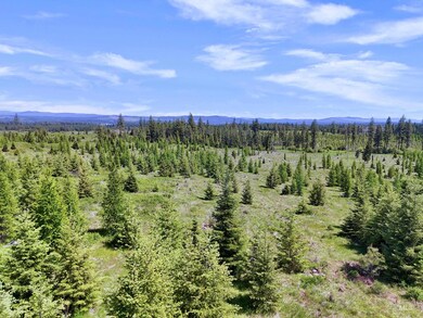 Drone / aerial view of a mountainous background