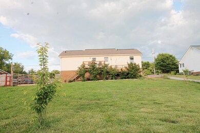 IMG_0127 (1)