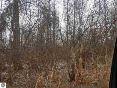 0 S Main St unit 1856110, Au Gres, MI 48703 - photo 4