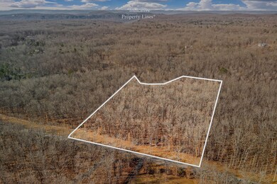 0 E Overlook Rd unit RTC3067659, Monterey, TN 38574 - photo 4