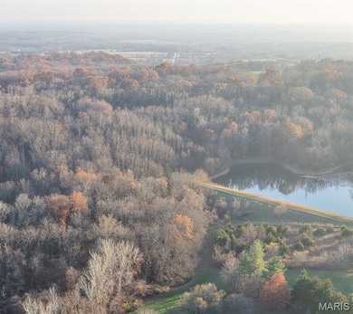 58079 Dow Trail Tract 2, Hannibal, MO 63401 - photo 2