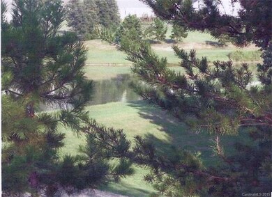 Lot 40 Luther Dr unit Lot 40, Iron Station, NC 28080 - photo 4