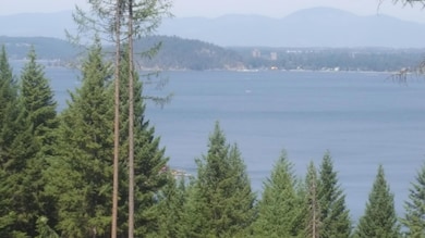 LOT 13 E Lisa Rd, Harrison, ID 83833 - photo 7