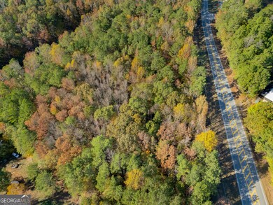 100 Tallapoosa Rd, Tallapoosa, GA 30176 - photo 2