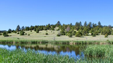 100 Mule Creek Rd, Hulett, WY 82720 - photo 7