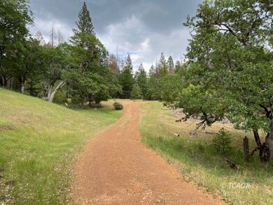 14991 California 3, Hayfork, CA 96041 - photo 4