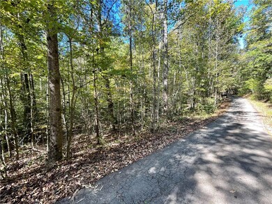 527-533 the Bear Blvd, Tamassee, SC 29686 - photo 4