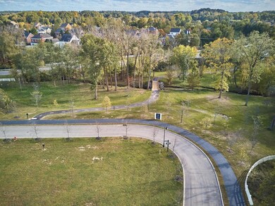 Ox park drone