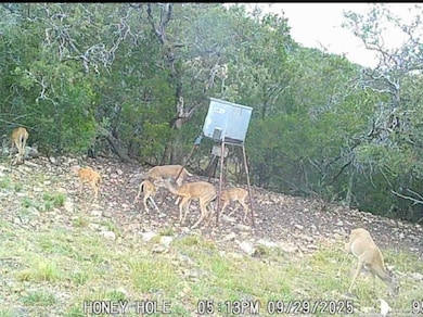 72.5 AC +/- Sd5570, Rocksprings, TX 78880 - photo 3