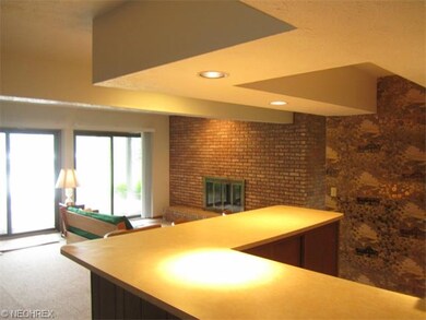 Lower level wet bar with refrigeration, gas firepl