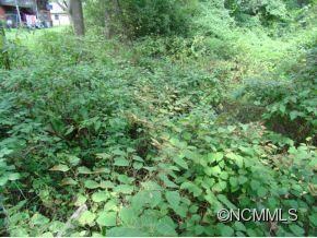 99999 Caribou Rd, Asheville, NC 28803 - photo 4