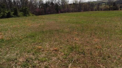 0 Locust Rd unit 1038344, Rutledge, TN 37861 - photo 4