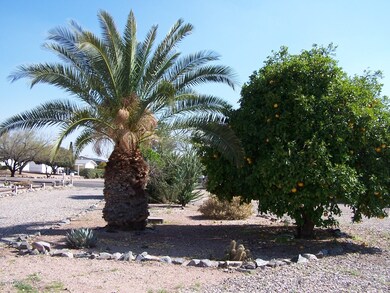 Mature Trees