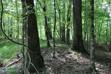 IMG_0711