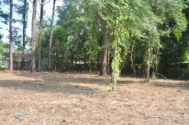 5307 Fortune St, Albany, GA 31705 - photo 6