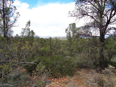 1400 Tranquility Point Pic 4
