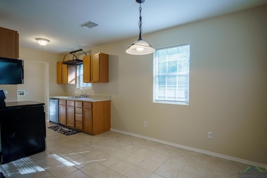 11424 Cr 221, Tyler, TX 75707 - photo 7