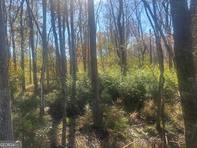 0 Jd Williams Rd, Cadwell, GA 31009 - photo 3