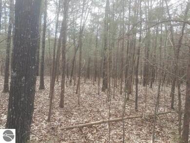 0 Canton Trail, Ogemaw Township, MI 48661 - photo 4