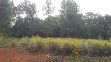 20150910_092018 (800x450)