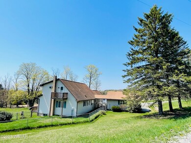 773 Back St, Roaring Branch, PA 17765 - photo 5