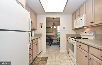 3618 Gleneagles Dr unit 3-E, Silver Spring, MD 20906 - photo 4