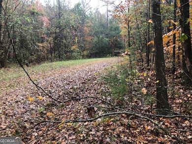 0 E Deer Run Trail unit 10651119, Lavonia, GA 30553 - photo 2