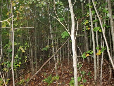 00 Mountain Rd, Dalton, NH 03598 - photo 5