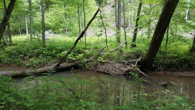 Reed Creek