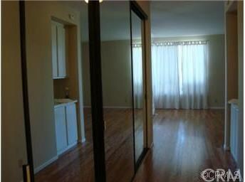 Hall into master bedroom with two large double clo