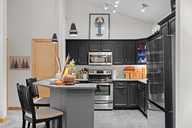 8253 Mayo Dr unit 310, Madison, WI 53719 - photo 5