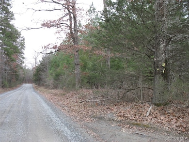 000 Valentine Mill Rd, Louisa, VA 23093 - photo 6