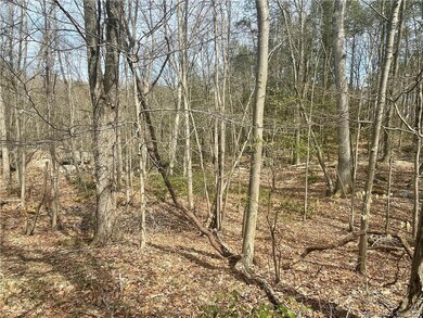 00 Old Mill Rd, Wilton, CT 06897 - photo 7