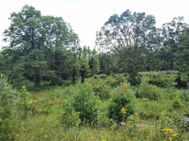 1150 Logan Hollow-Copperas Branch Rd, Morehead, KY 40351 - photo 4