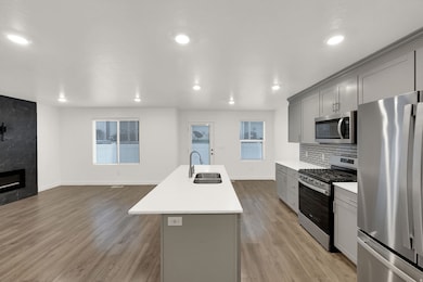 Kitchen featuring gray cabinets, appliances with stainless steel finishes, a fireplace, an island with sink, and light wood-style flooring
