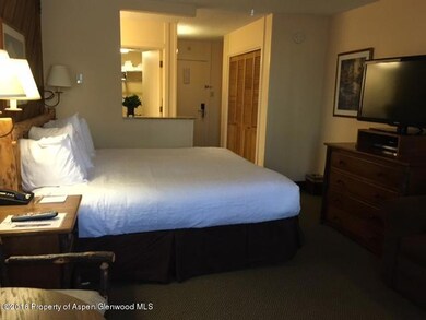 300 Carriage Way unit 106, Snowmass Village, CO 81615 - photo 4