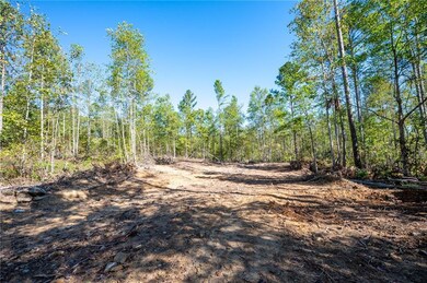 3789 Hwy 140 NE, Rydal, GA 30171 - photo 6