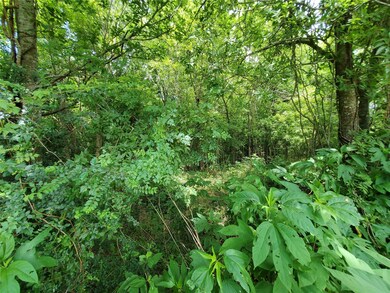 0 County Road 138 unit 75964648, Alvin, TX 77511 - photo 5