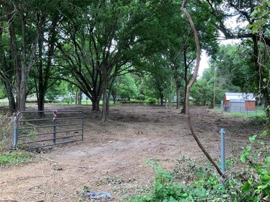 TBD Comanche Trail, Weatherford, TX 76087 - photo 4