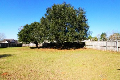 Back Yard Beautiful Oak Trees