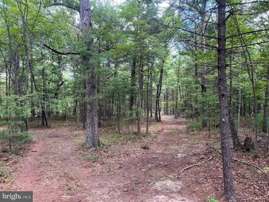 0 Supinlick Ridge Rd unit VASH2012594, Mount Jackson, VA 22842 - photo 6