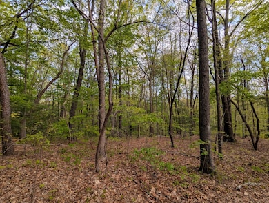 00 Ladd Springs Rd, Old Fort, TN 37362 - photo 4