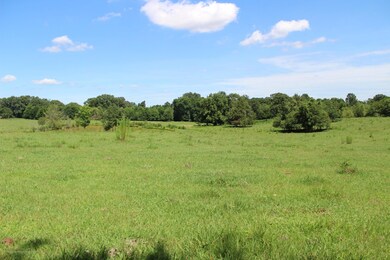 lot 2 shot 3