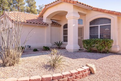 003-749-w-hackamore