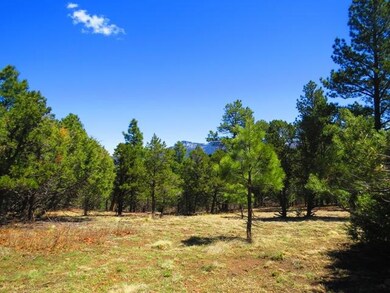 0 Fox Trail unit 20-978, Trinidad, CO 81082 - photo 2