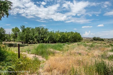 XX W Main St, Farmington, NM 87401 - photo 4