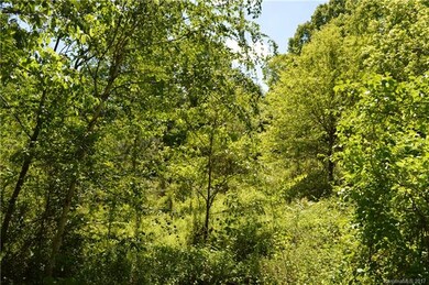 999 Retta Ln, Leicester, NC 28748 - photo 2