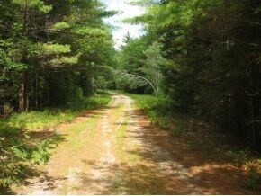 Lot 22 Lyndsay Ln, Tuftonboro, NH 03254 - photo 4